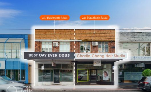 219 & 221 Hawthorn Road CAULFIELD NORTH VIC 3161